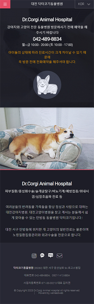 닥터코기동물병원